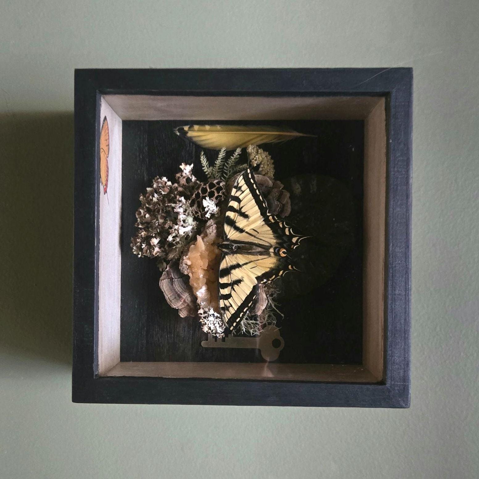 Antique Butterfly Shadow Box - Etsy