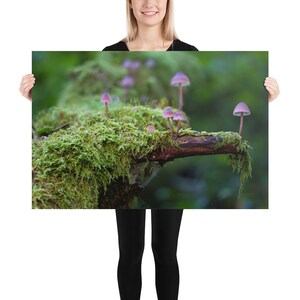 Mushrooms Poster, Poster Print, Poster Art, Poster Art Print, Poster Mushrooms, Poster Plants, Mushroom Decor, Mushroom Print, Poster Gift