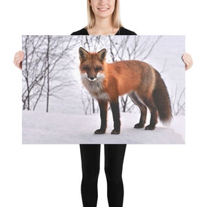 Poster Print, Red Fox Poster, Red Fox, Fox Decor, Nursery Decor, Wall Decor, Home Decor, Poster Art, Nature Poster, Nature Decor, Poster