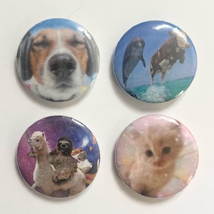 Animals 1.25&quot; pinback button set funny memes (1 or set of 4)