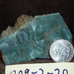Green opalized petrified wood, John Day Oregon, Opal Wood Specimen