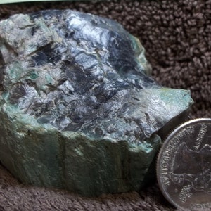 Green, Opalized, Petrified Wood, John Day, Oregon, Specimen, opal
