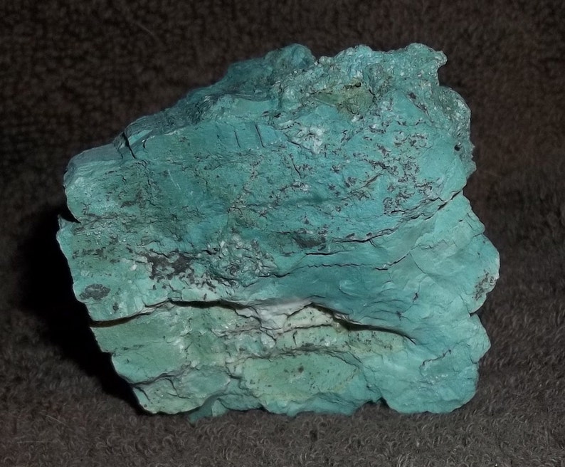 Green Petrified Wood Etsy