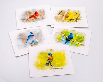 Set of 5 Bird Note Cards