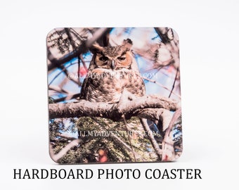 Great Horned Owl - Nature Coaster