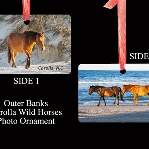 Outer Banks - Christmas Ornament - 2 sided - Corolla, North Carolina - Wild Horses