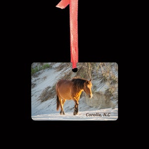 Outer Banks Christmas Ornament 2 sided Corolla, North Carolina Wild Horses image 2