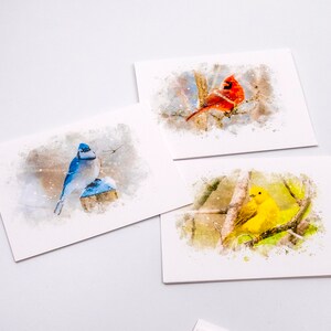 Set of 5 Bird Note Cards image 2