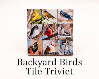 Backyard Birds - Tile Trivet