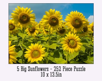 5 Big Sunflowers - Puzzle de 252 pièces