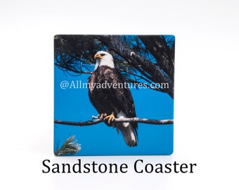 Eagle Sandstone Coaster