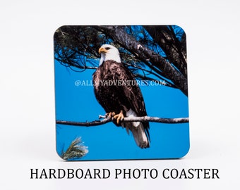 Bald Eagle Coaster - Nature Coaster