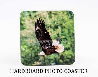 Bald Eagle Coaster - Nature Coaster