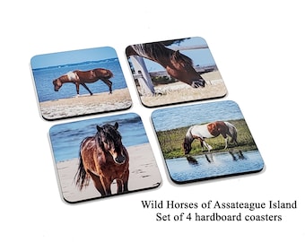 Set of 4 Wild Horse Hardboard Coasters, Assateague Island - set #2