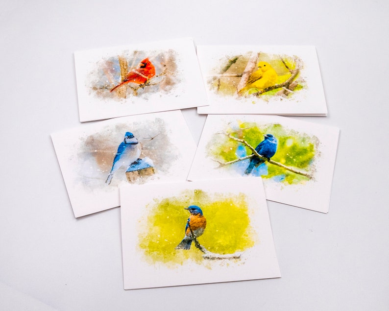 Set of 5 Bird Note Cards Etsy
