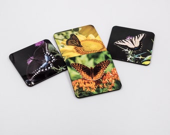 Set of 4 Butterfly Hardboard Coasters