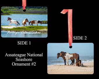 Assateague National Seashore - style #2 - Christmas Ornament - 2 sided - wild horses, horses