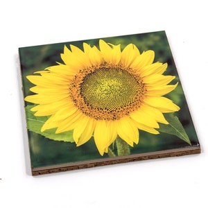 Summer Sunflower - Tile Trivet