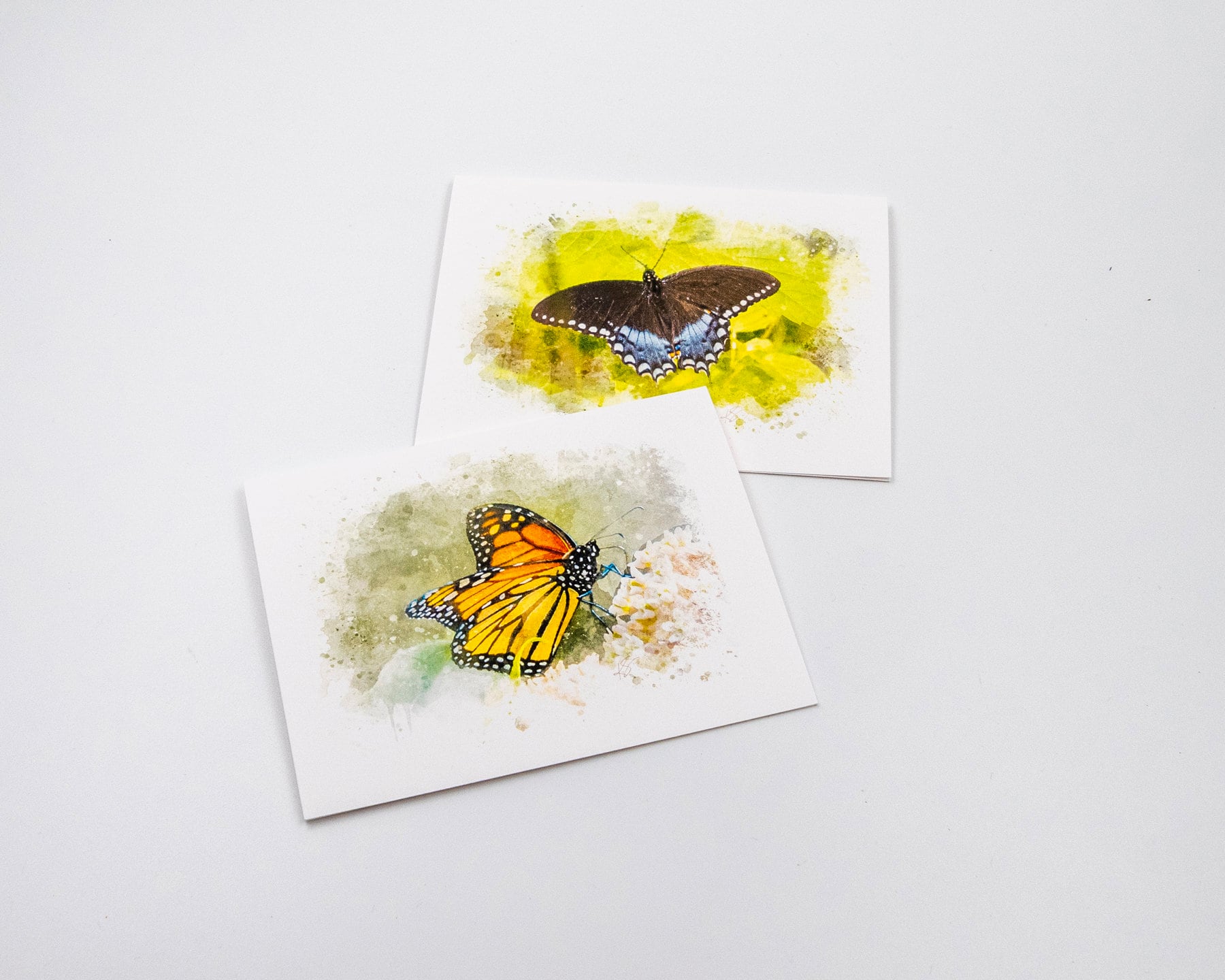 Set of 4 Butterfly Note Cards - Etsy