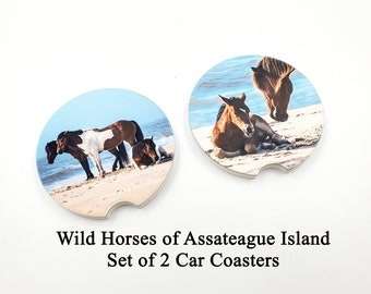 Wild Horses of Assateague Island Car Coasters - set of 2