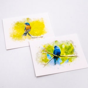 Set of 5 Bird Note Cards image 3