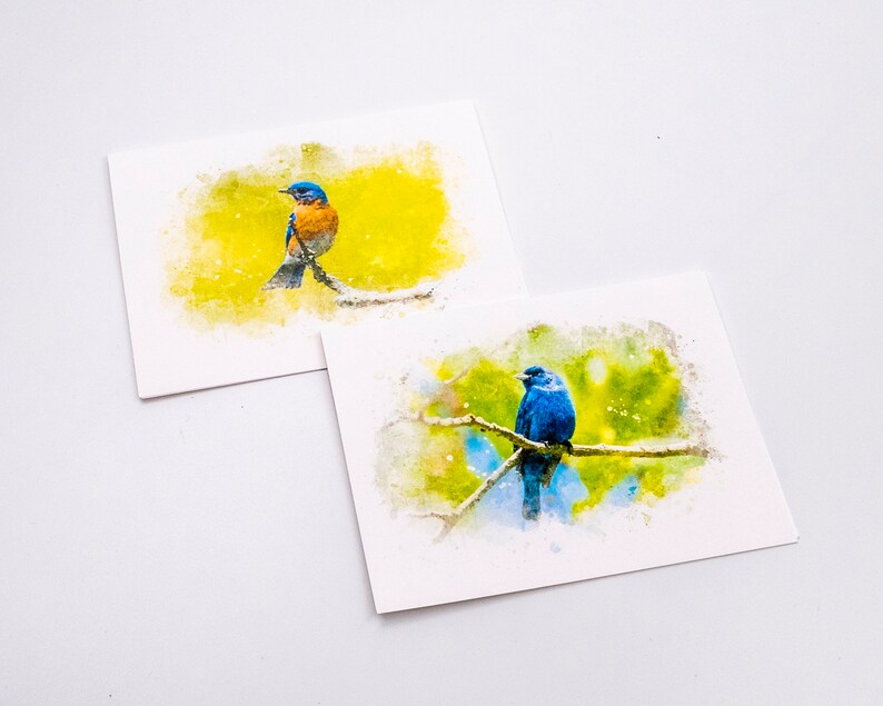 Set of 5 Bird Note Cards image 3
