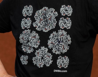 Hemoglobin Science T-Shirt - Men's Women's