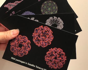 Virus and phage postcards - science art from three bacteriophage molecular models and two RNA viruses