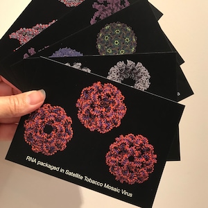 May include: A set of black cards with colorful 3D images of viruses. The text on the bottom card reads "RNA packaged in Satellite Tobacco Mosaic Virus".