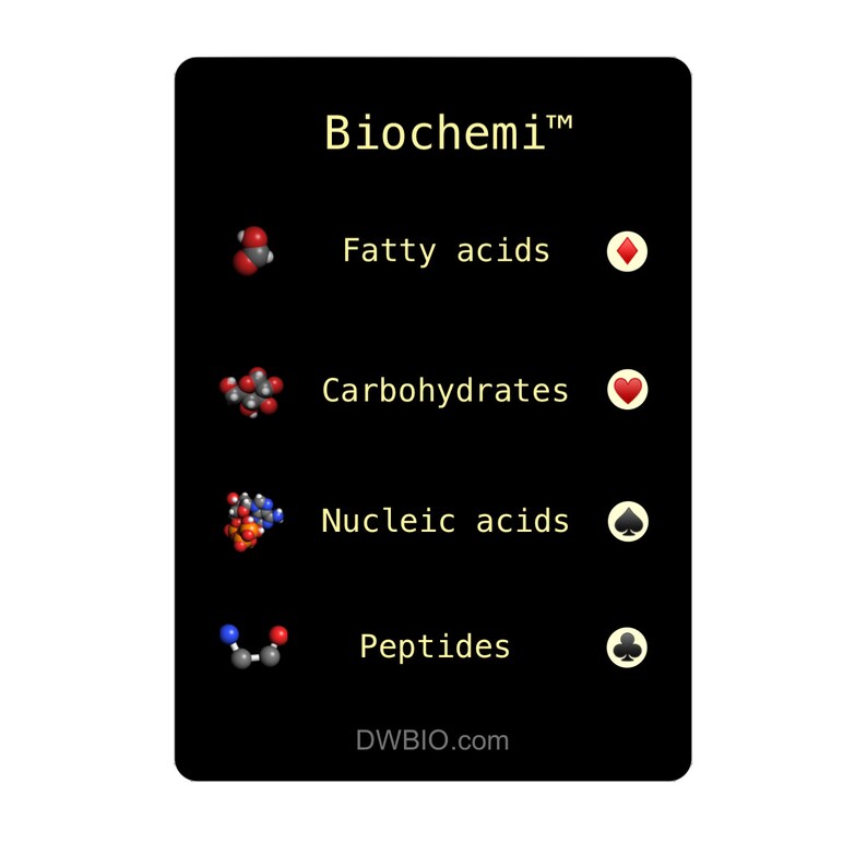 Biochemi™ Macromolecule 52 card deck for playing card games have fun and learn science image 4