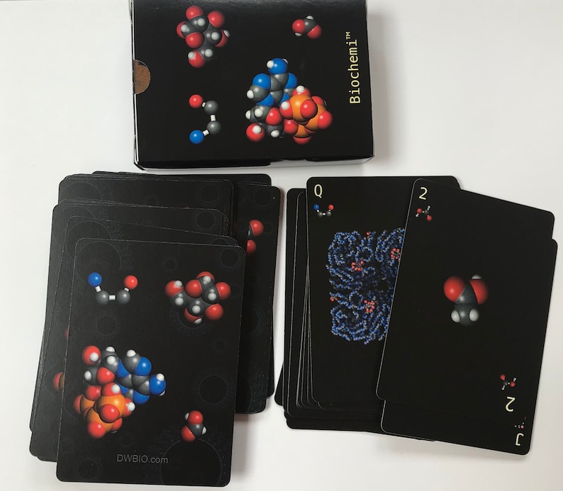 Biochemi™ Macromolecule 52 card deck for playing card games have fun and learn science image 3