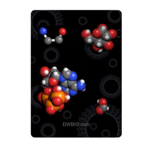 Biochemi™ Macromolecule 52 card deck for playing card games have fun and learn science image 6