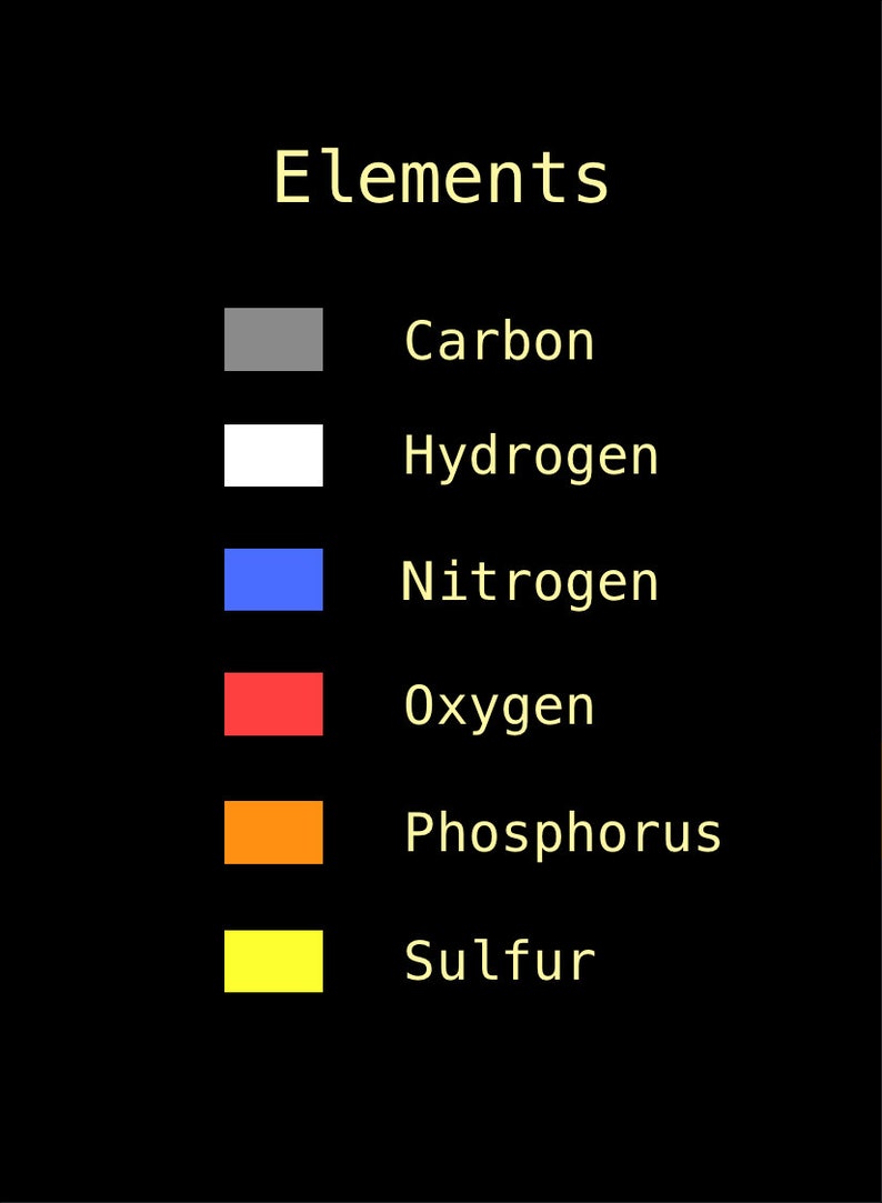 Biochemi™ Macromolecule 52 card deck for playing card games have fun and learn science image 5