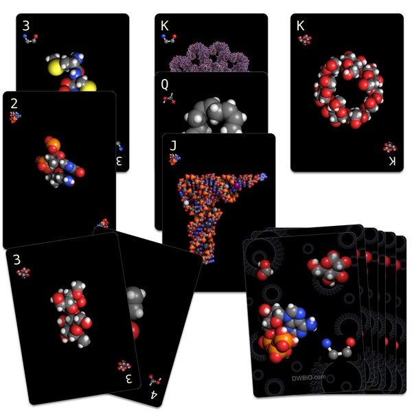 Biochemi™ Macromolecule 52 card deck for playing card games - have fun and learn science