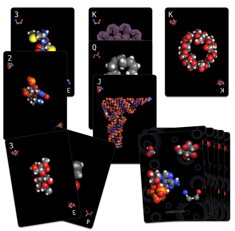 Biochemi™ Macromolecule 52 card deck for playing card games have fun and learn science image 1