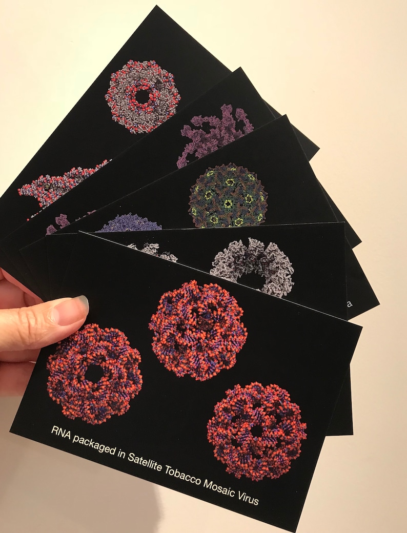 Virus and phage postcards  science art from three image 1
