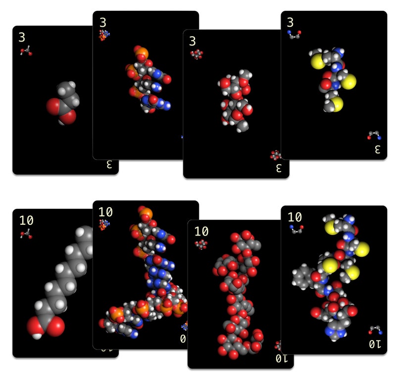 Biochemi™ Macromolecule 52 card deck for playing card games have fun and learn science image 7