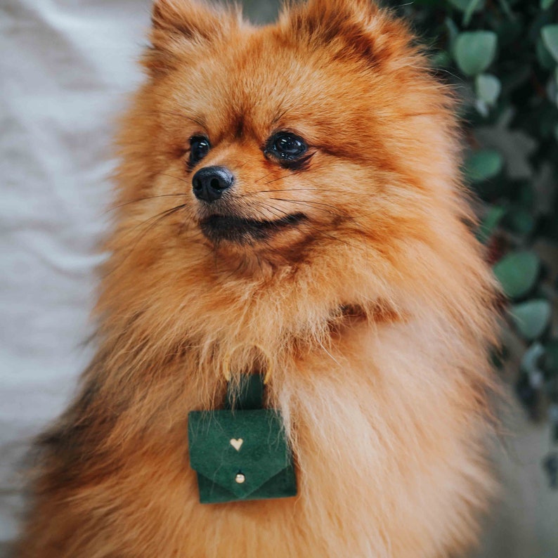 Suede Dog Ring Bearer Pouch, Pet Wedding Proposal Collar Clip