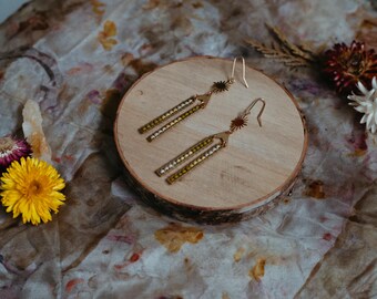 Transform: Phoenix Rising Series