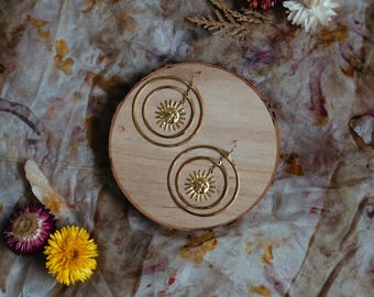 Shine Your Light: Phoenix Rising Series