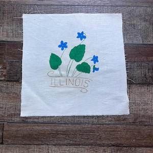 Vintage Illinois state quilt blocks for quilting, sewing, embroidery, and crafting