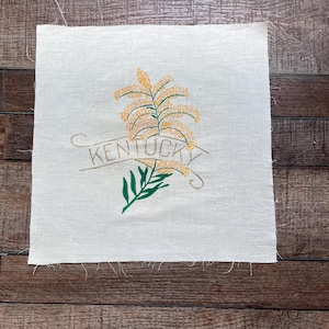 Vintage Kentucky state quilt blocks for quilting, sewing, embroidery, and crafting