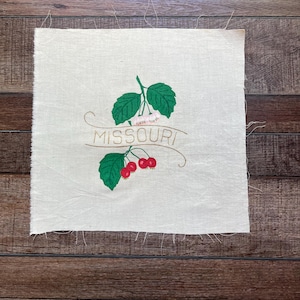 Vintage Missouri state quilt blocks for quilting, sewing, embroidery, and crafting