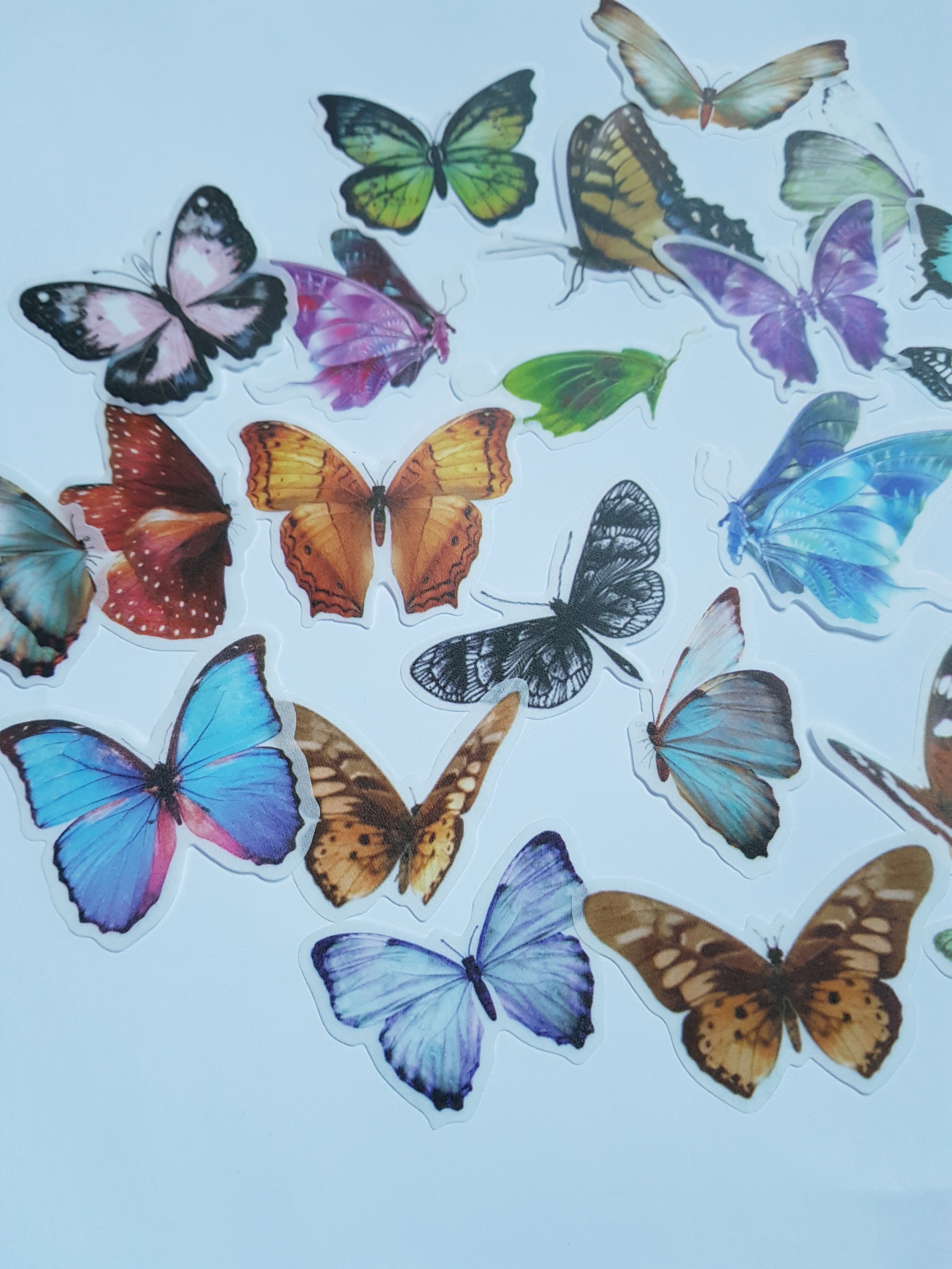 Butterfly Sticker Set - Etsy
