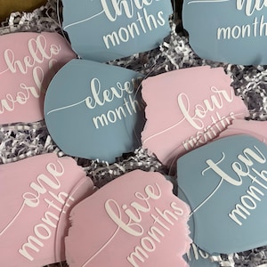 Acrylic milestone discs