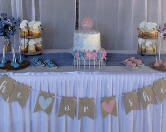 Gender Reveal Banner