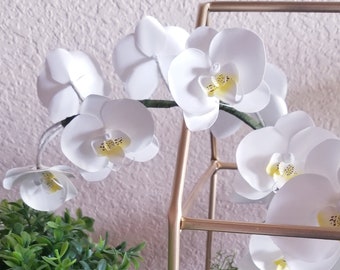 Orchid template  (PNG and PDF file) with Video Tutorial, DIY Template, Cricut Flower Template, Party Decor, Paper flower template