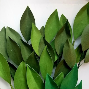 May include: A bunch of green paper leaves, arranged in a fan shape, on a white background.