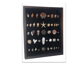 Marco de la cáscara de color focal