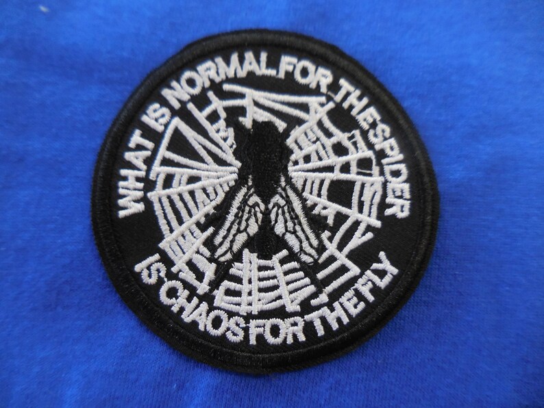 Whats Is Normal for Spider is Chaos for the Fly Addams Embroidered Iron On Patch